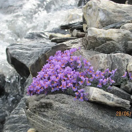 Apart Mangweth Nauders