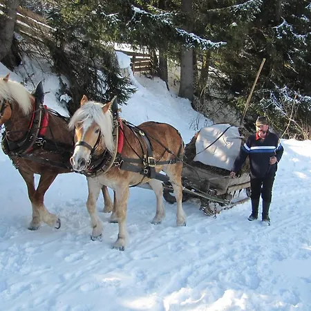 Apart Mangweth * Nauders