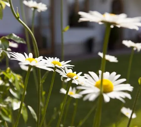 Apart Mangweth Nauders